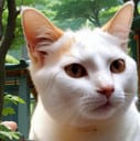 そら