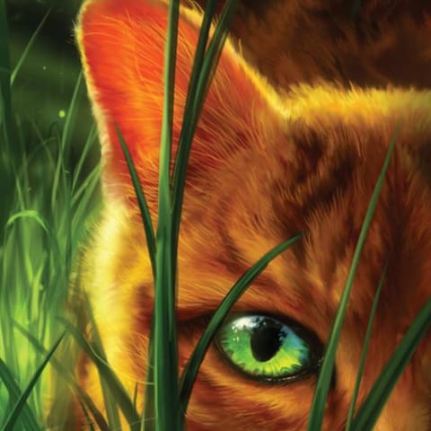 warrior cats