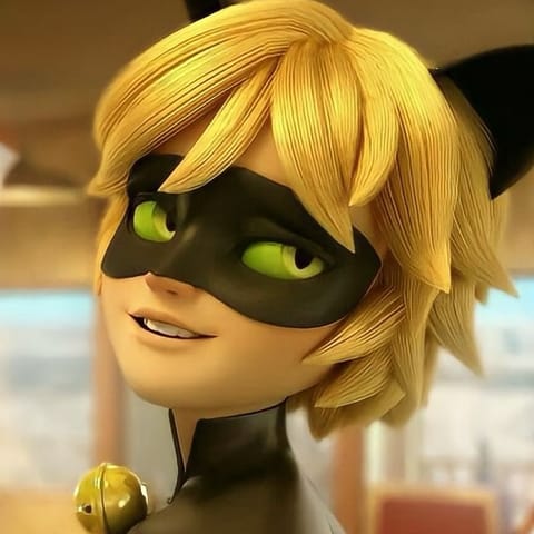 Chat Noir